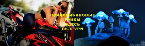 a pvp Богородск