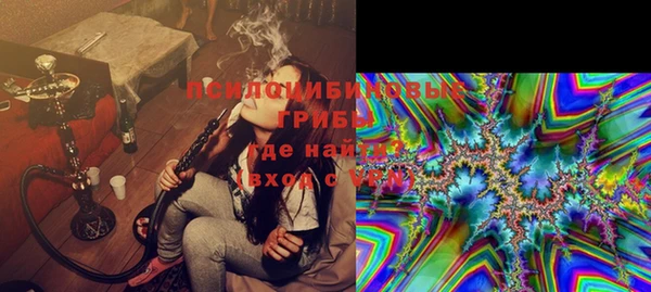 прущая мука Богородицк