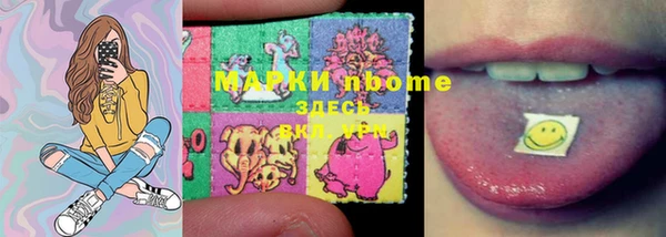 прущие грибы Бородино