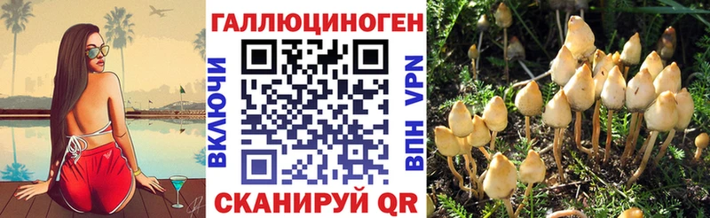 сколько стоит Волжский Галлюциногенные грибы прущие грибы