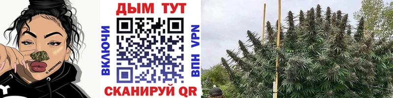 Каннабис тримм  Волжский 